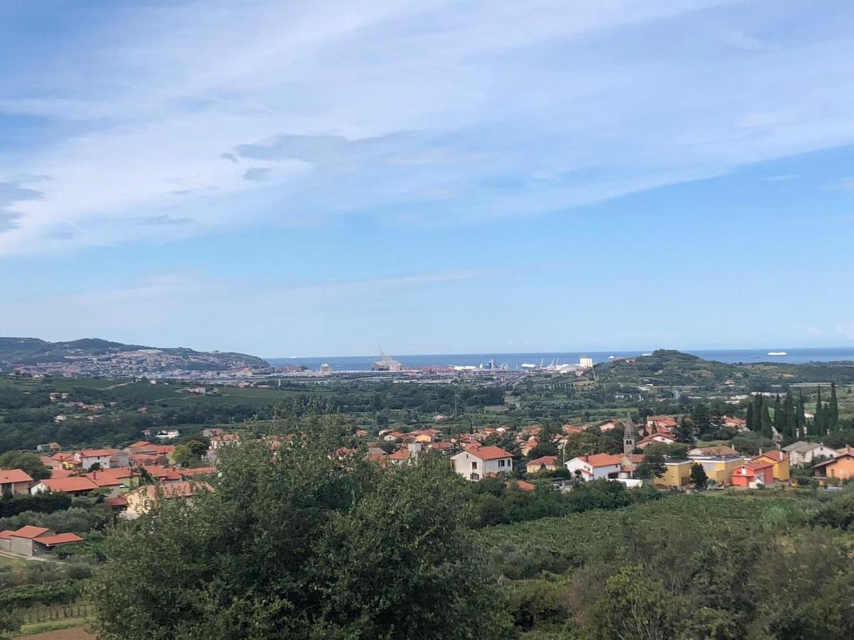 Apartma Mija-Dekani Kültér fotó